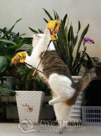 06.jpg