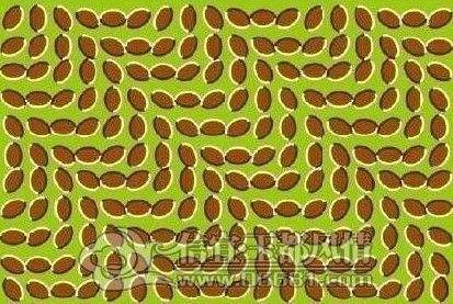 41930661868308710.jpg