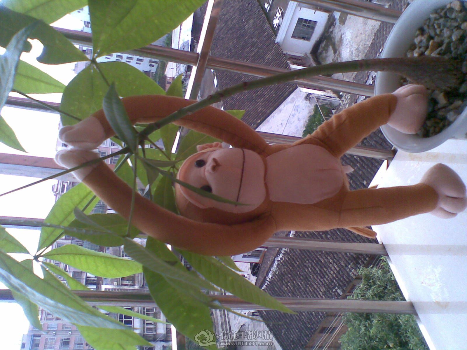 20120706(001).jpg