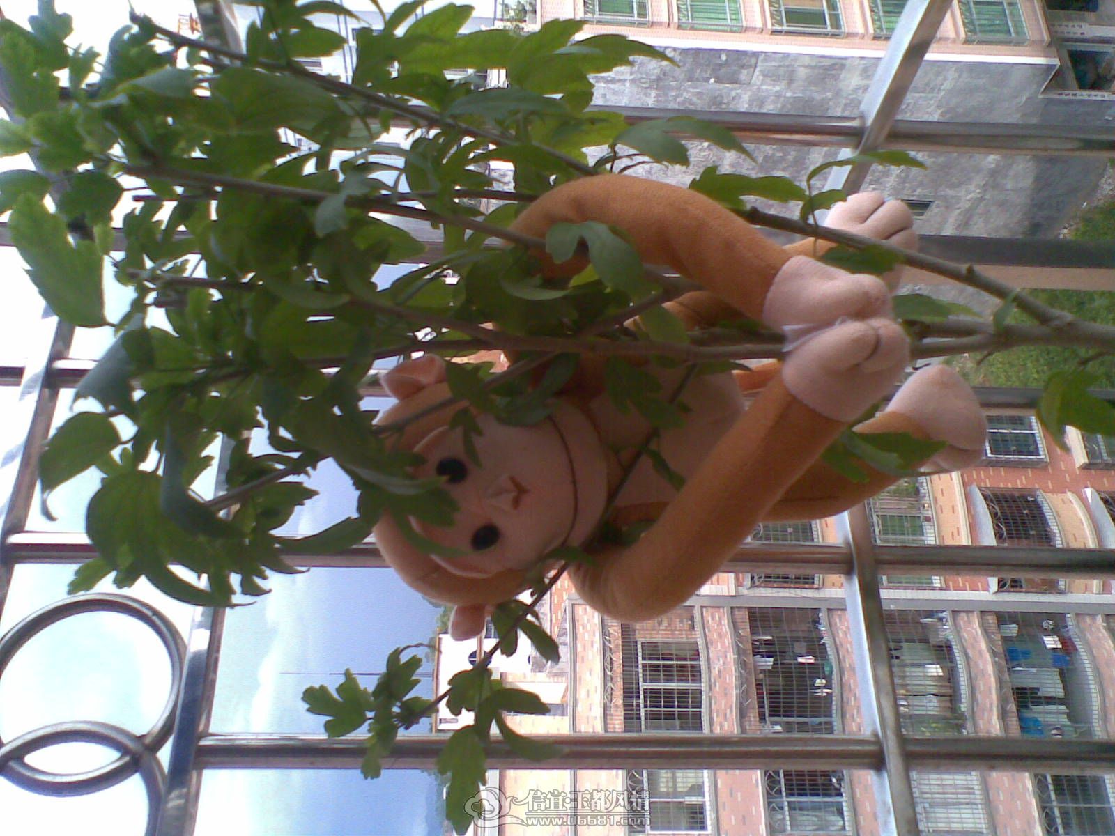 20120706(003).jpg