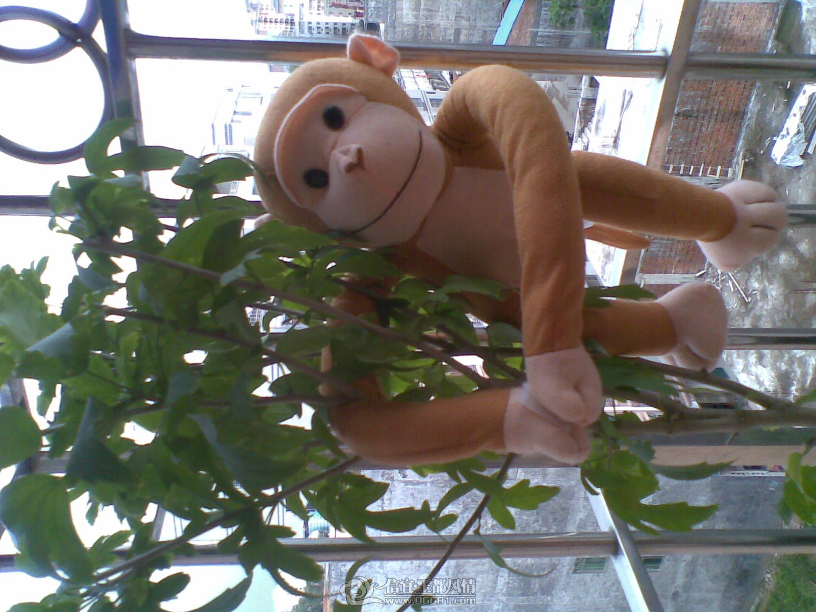 20120706(004).jpg