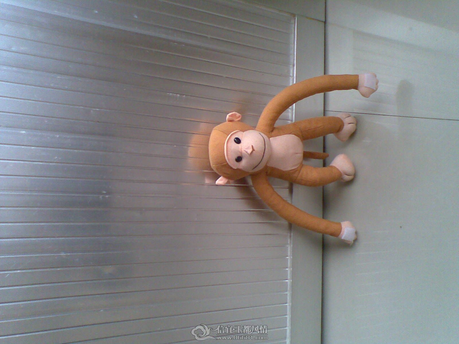 20120706(006).jpg