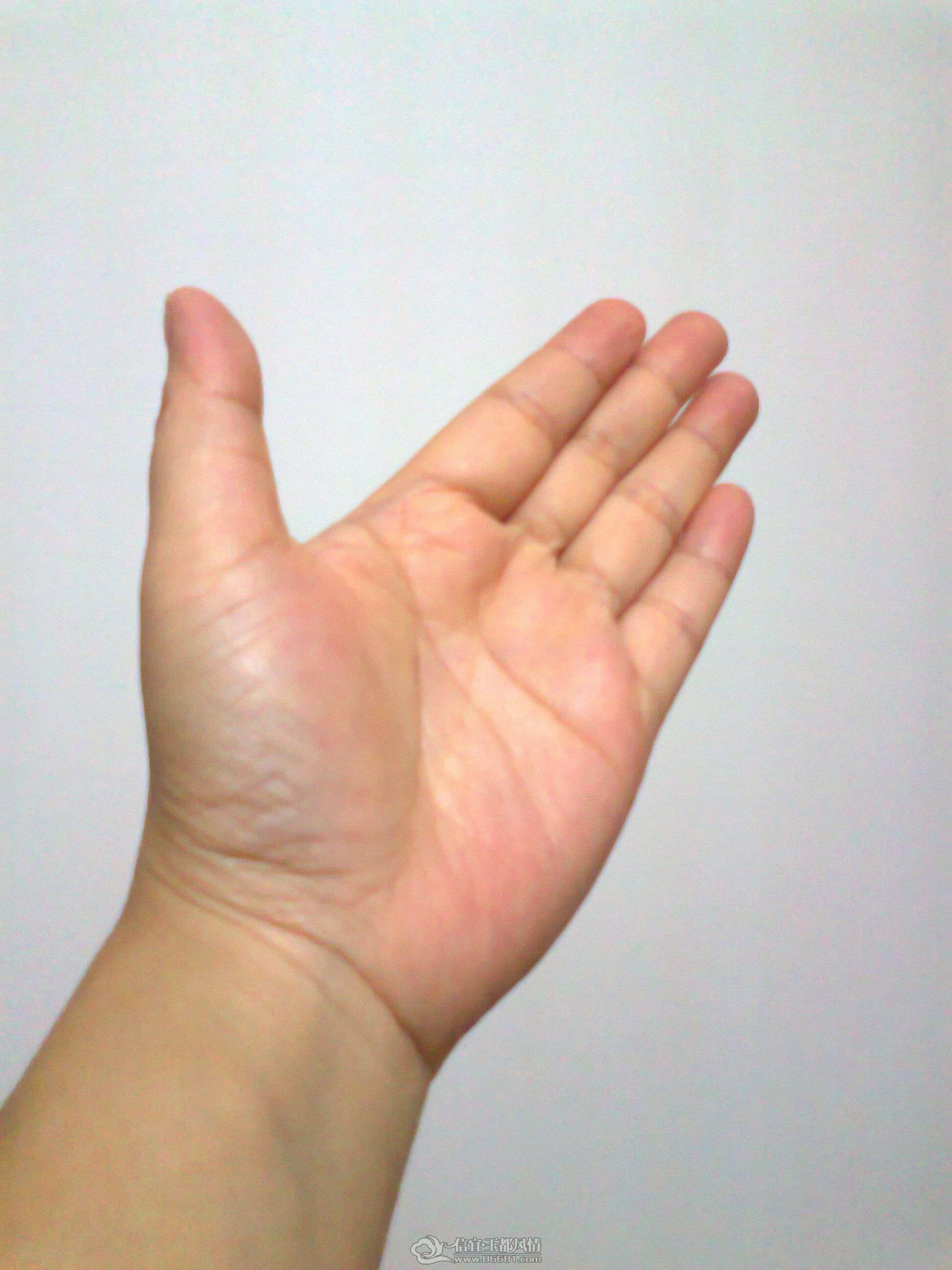 ��Ƭ0266.jpg