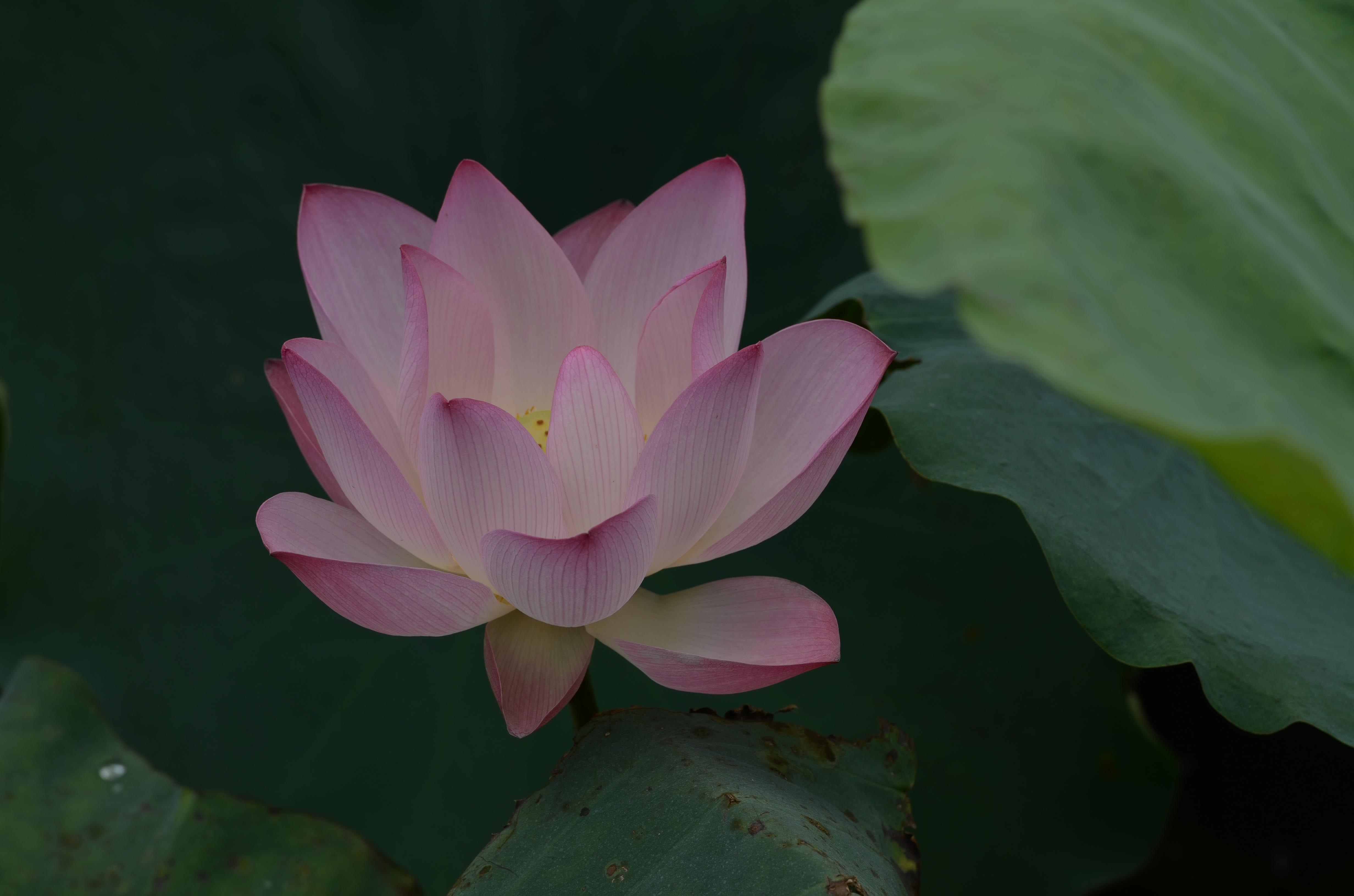 DSC_2505.jpg