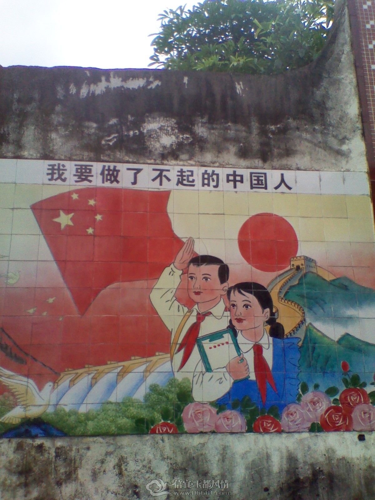 IMG_20120728_111859.jpg