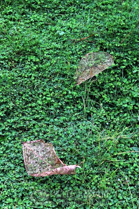 DPP_0020.JPG