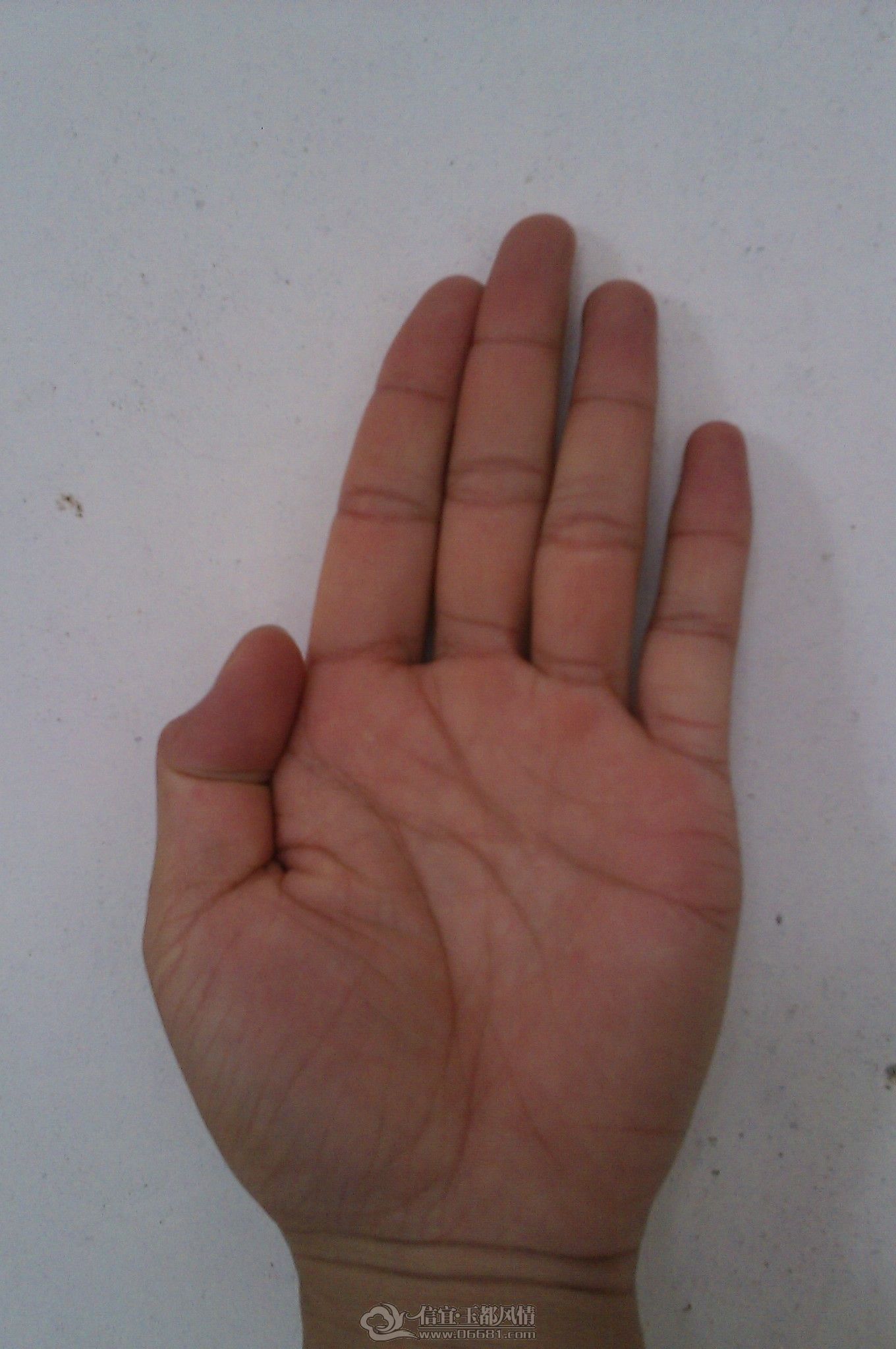 IMAG0070.jpg