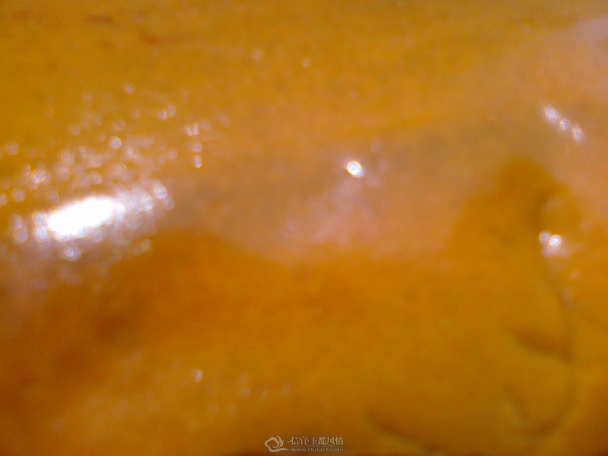��Ө��͸
