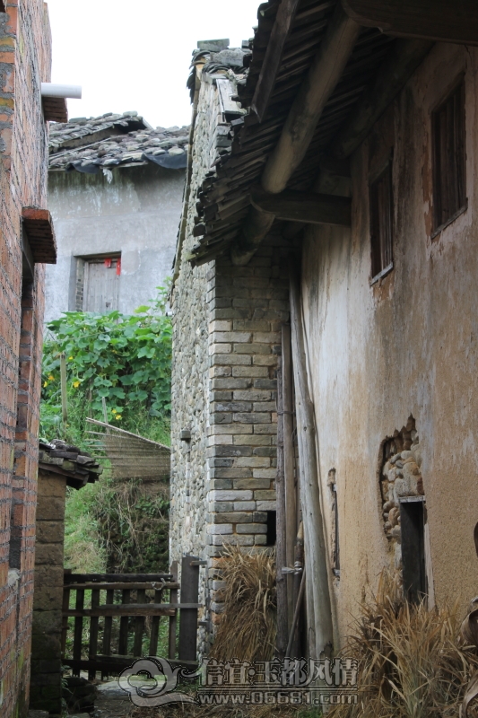 DPP_0012.JPG