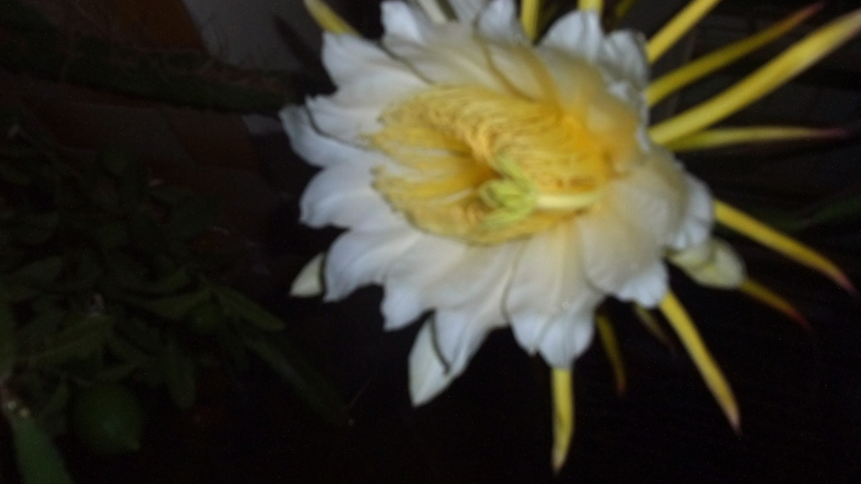 DSCF7989_����.jpg