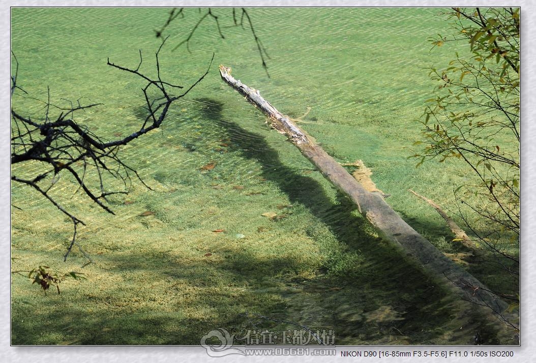 DSC_0781_nEO_IMG.jpg