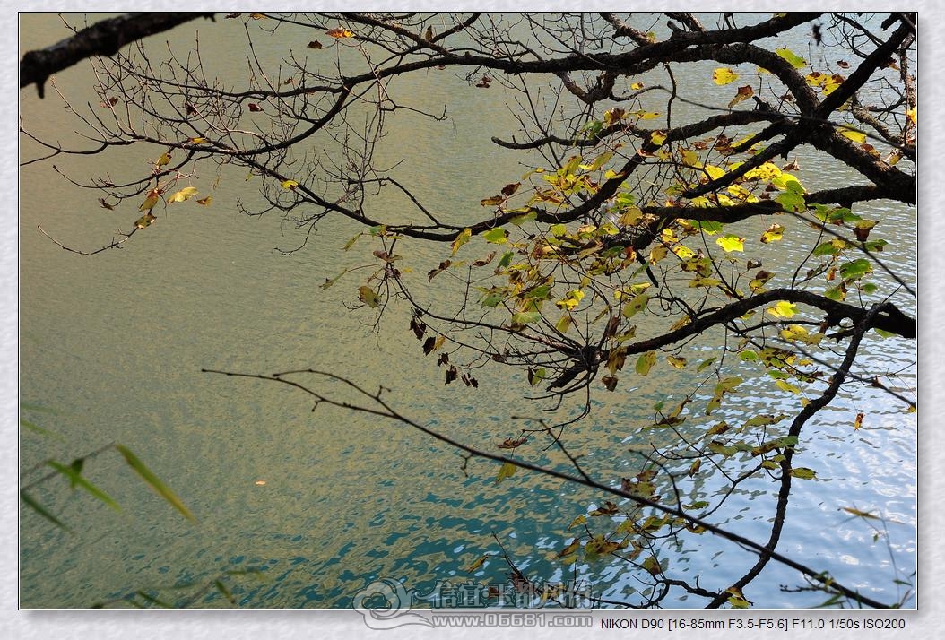 DSC_0859_nEO_IMG.jpg