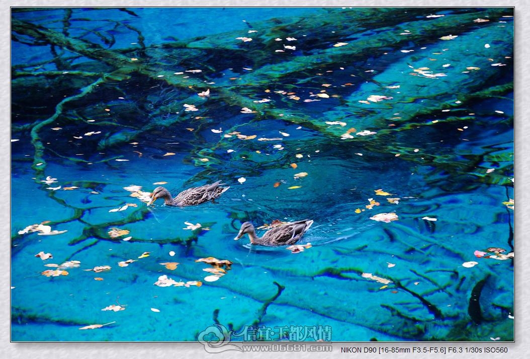 DSC_0951_nEO_IMG.jpg
