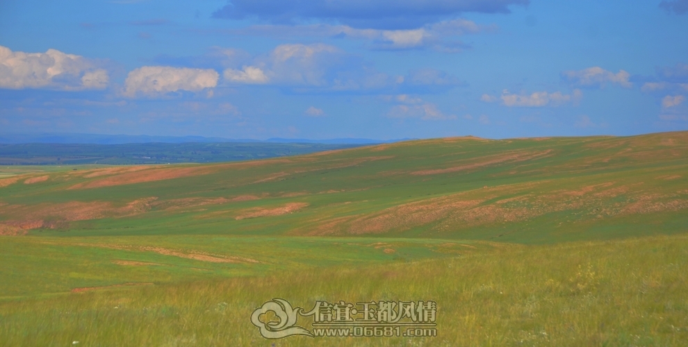 DSC_5753.jpg