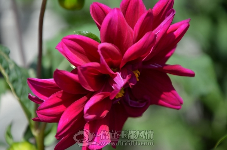 DSC_5029.jpg