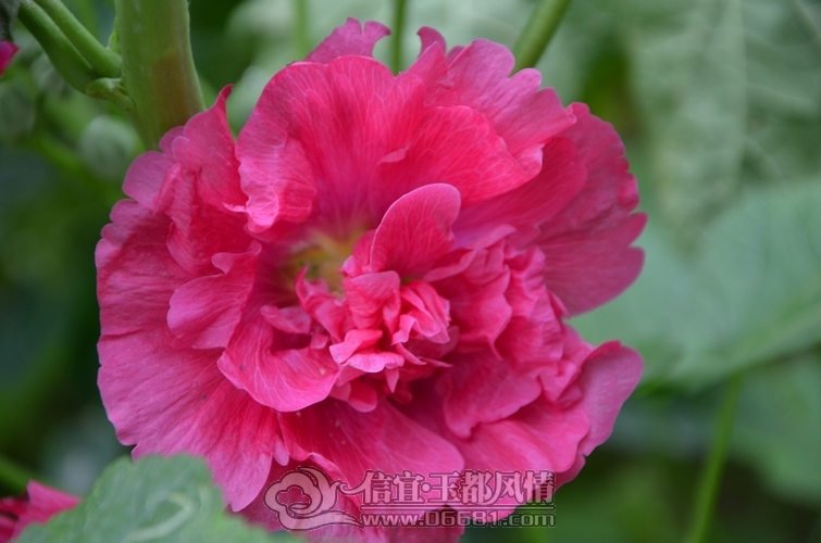 DSC_5119.jpg