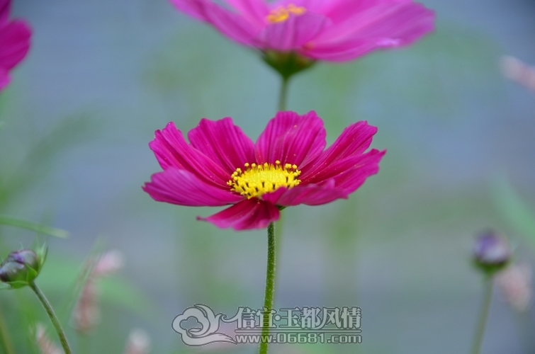 DSC_5183.jpg
