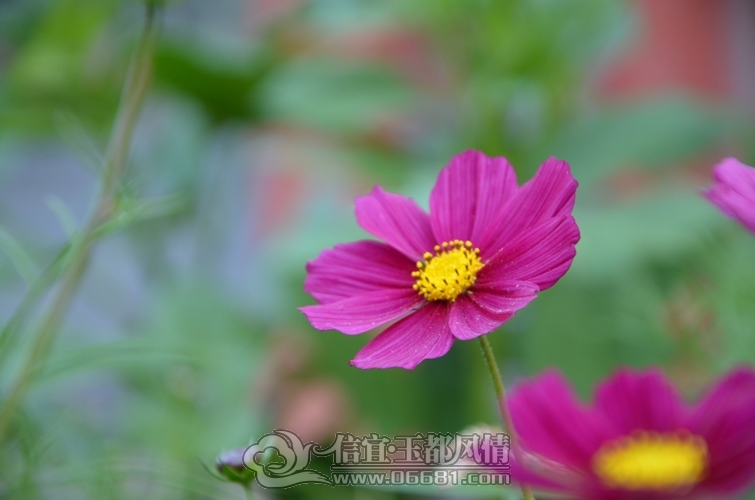 DSC_5184.jpg