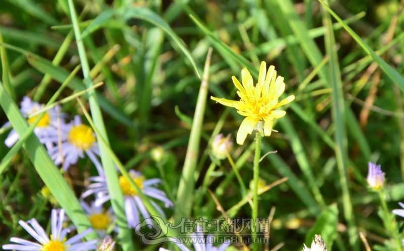 DSC_5758.jpg