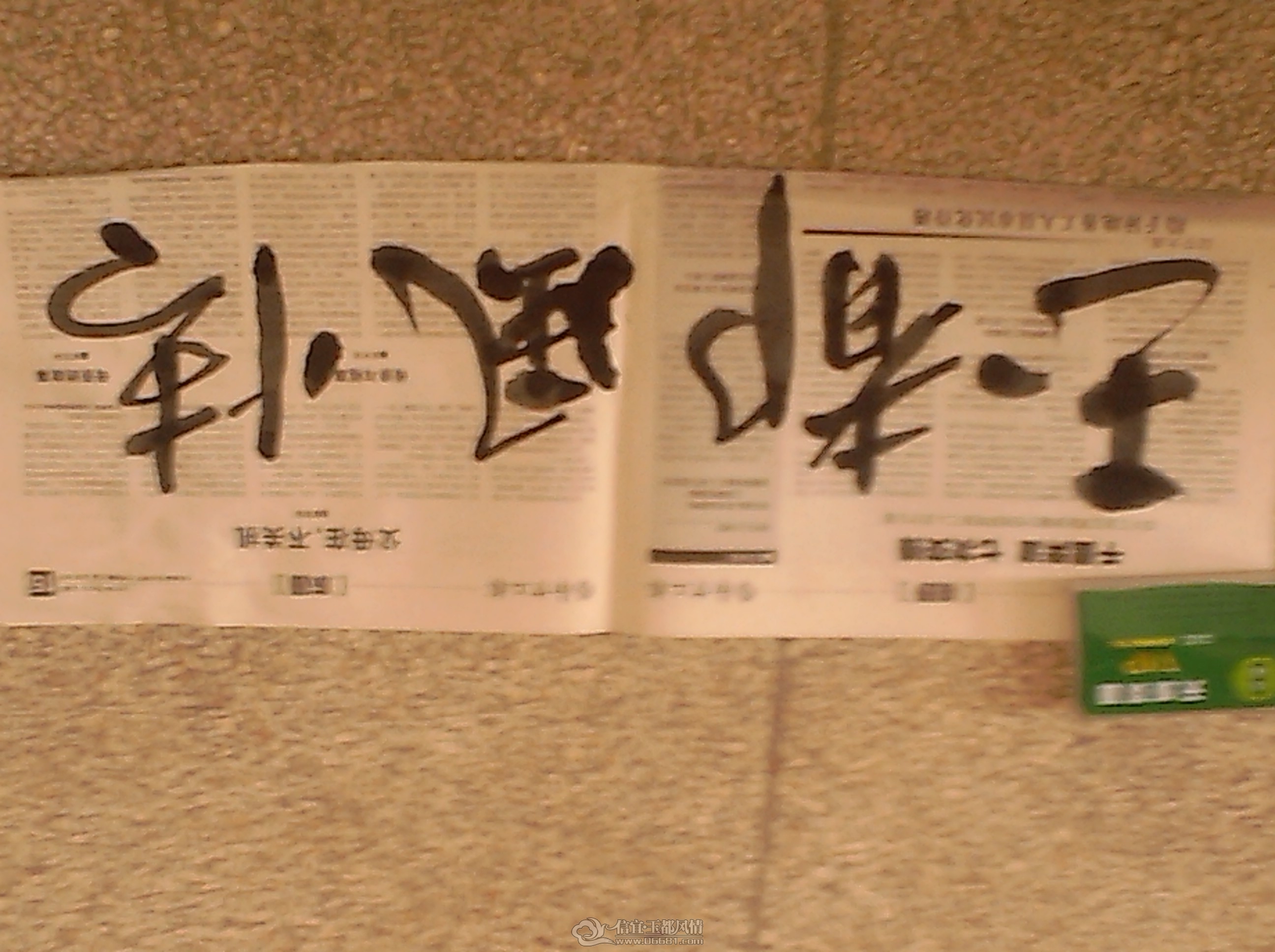 IMG_20120819_122101.jpg