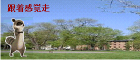 5555.gif
