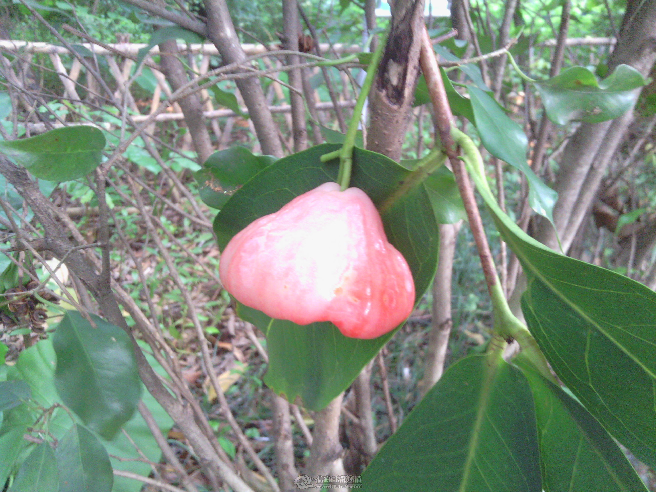 IMG_20120823_164423.jpg