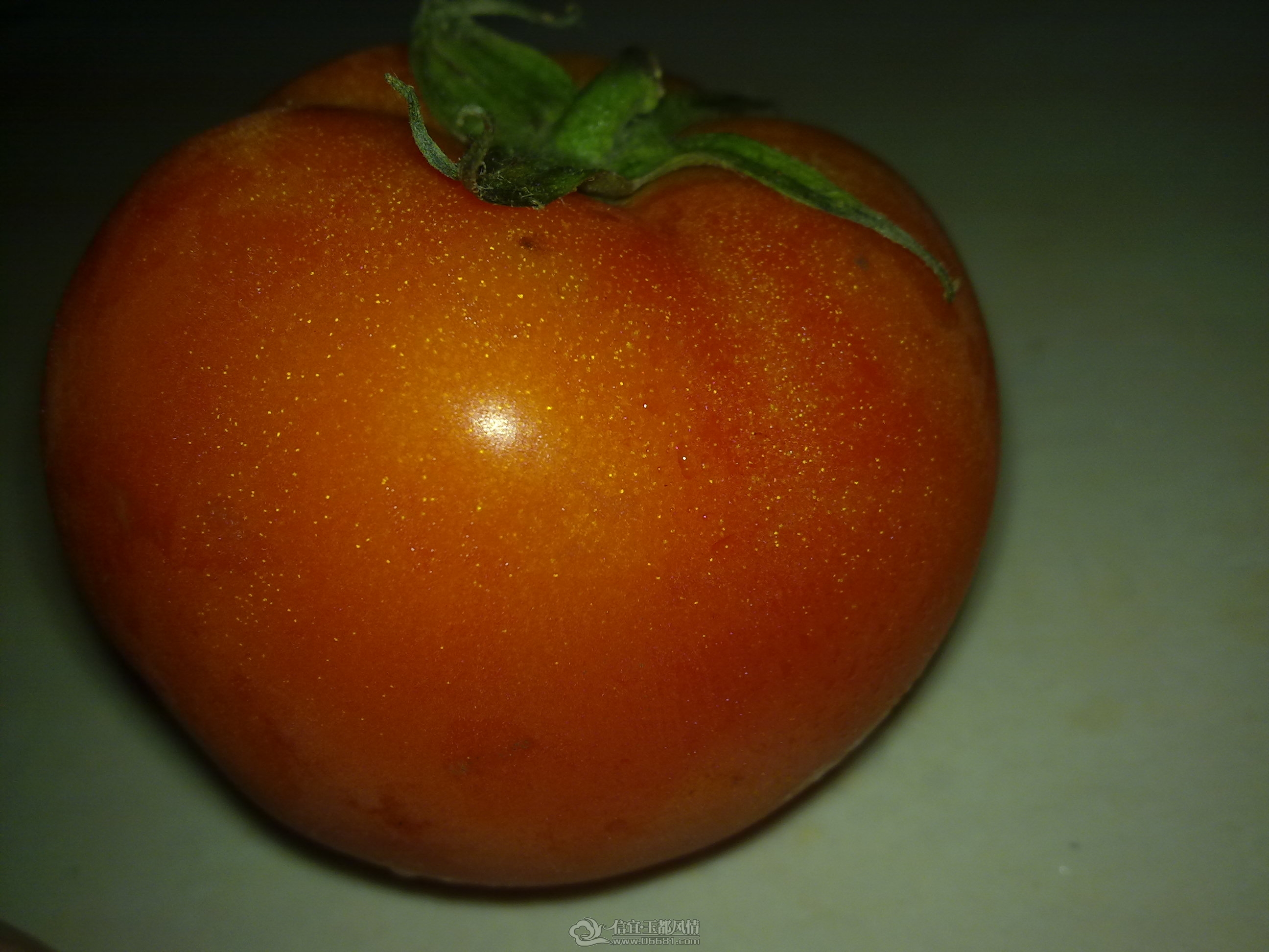 201208251615.jpg