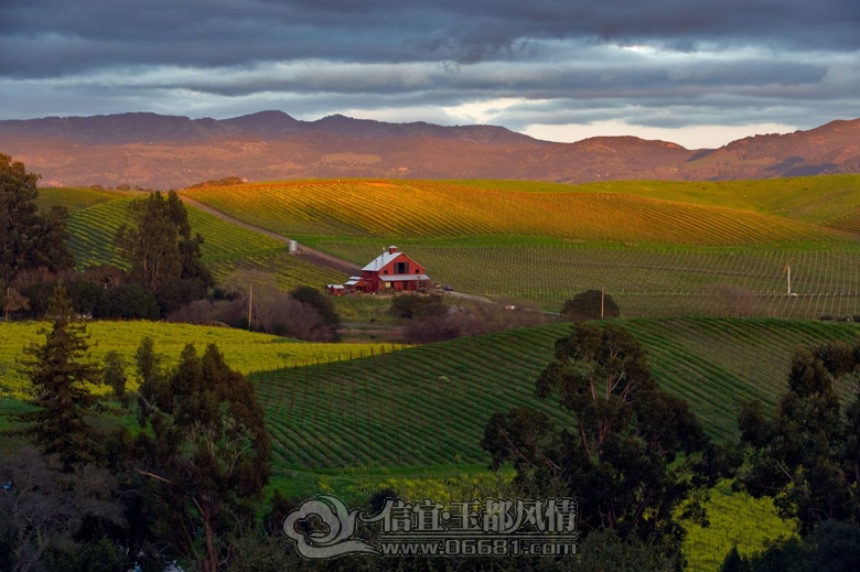 CA-NAPA-CARN-WINE-ARTE-dN31.jpg