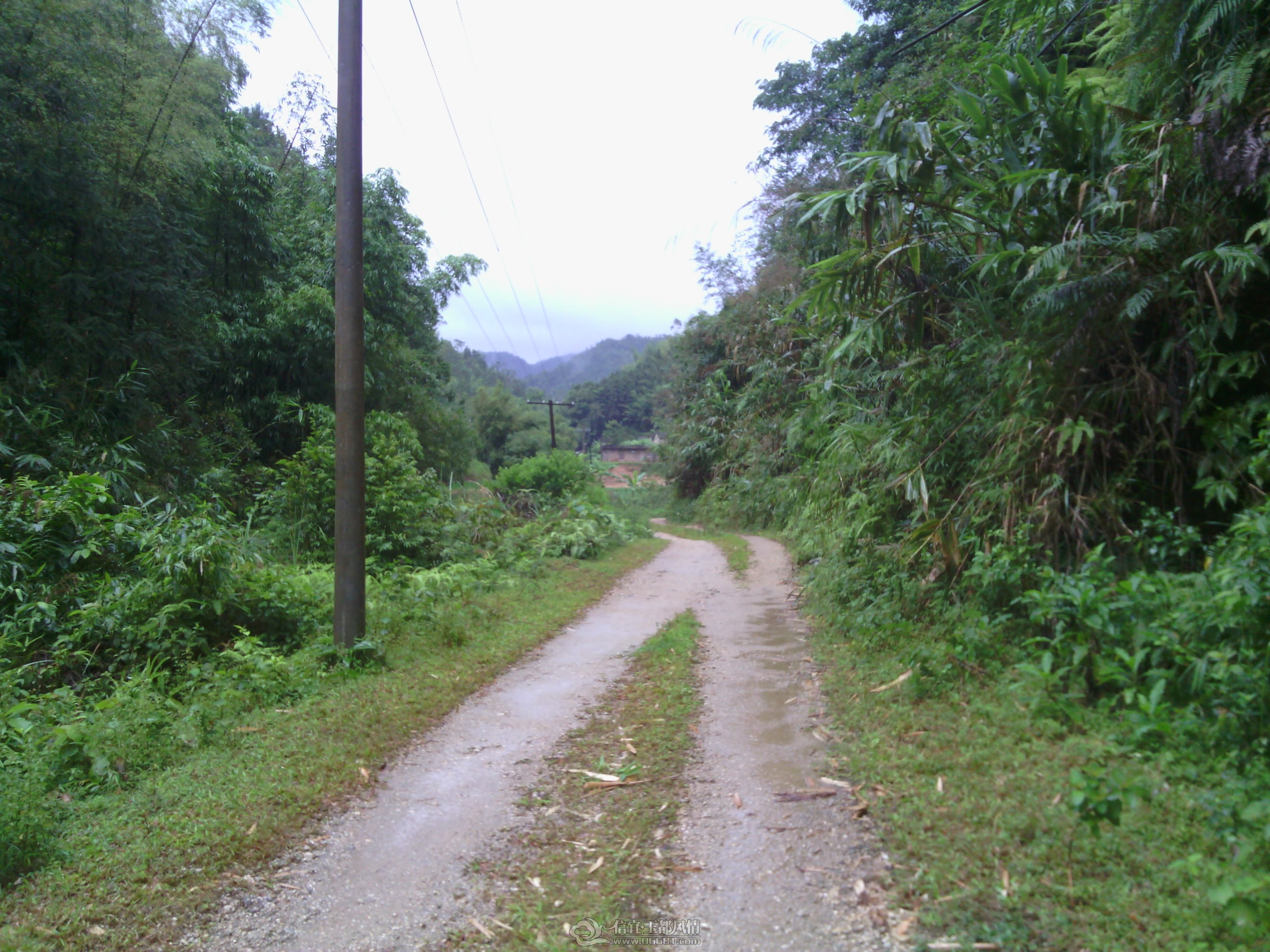 IMG_20120902_143313.jpg