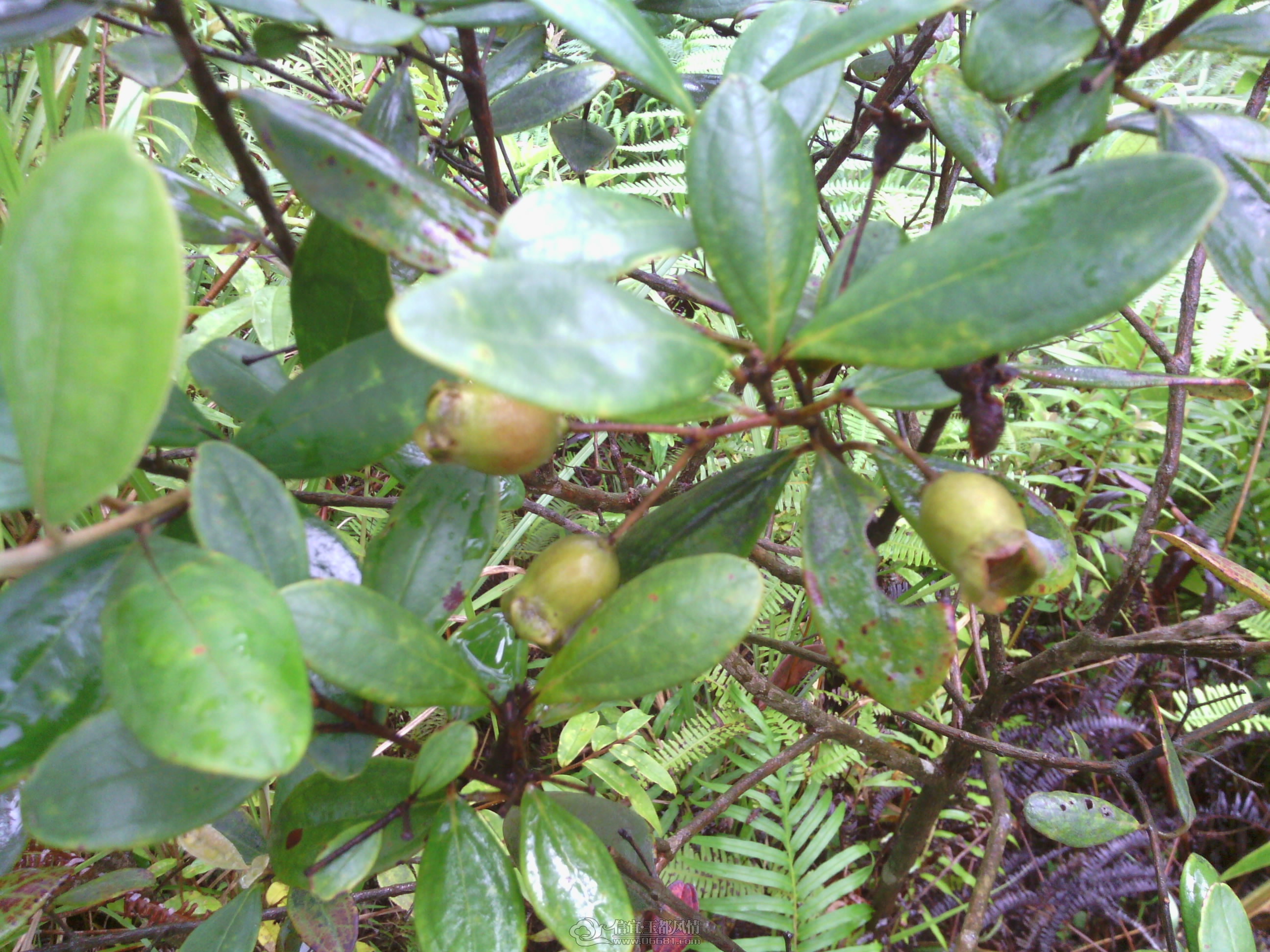 IMG_20120902_144711.jpg