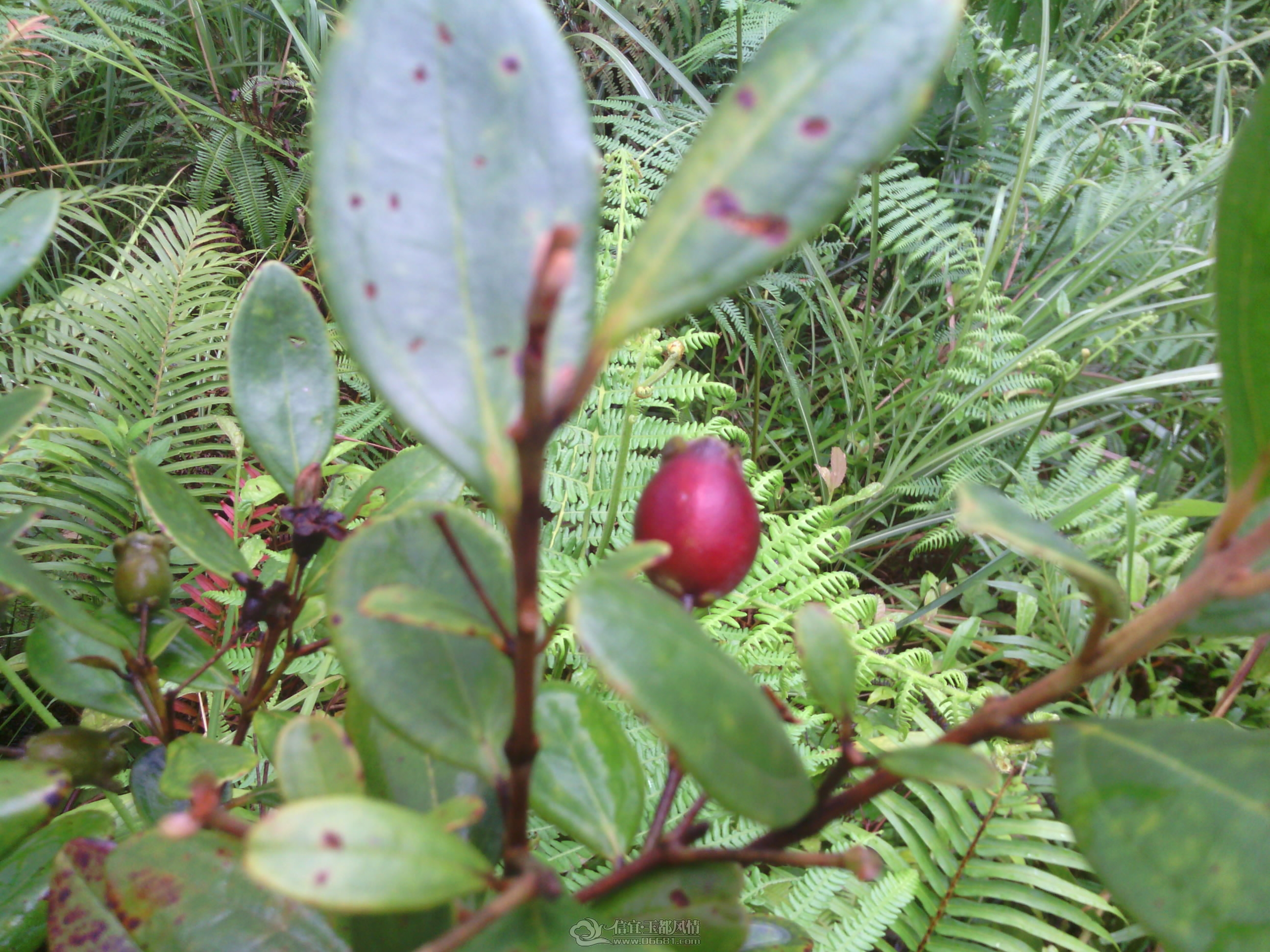 IMG_20120902_144727.jpg