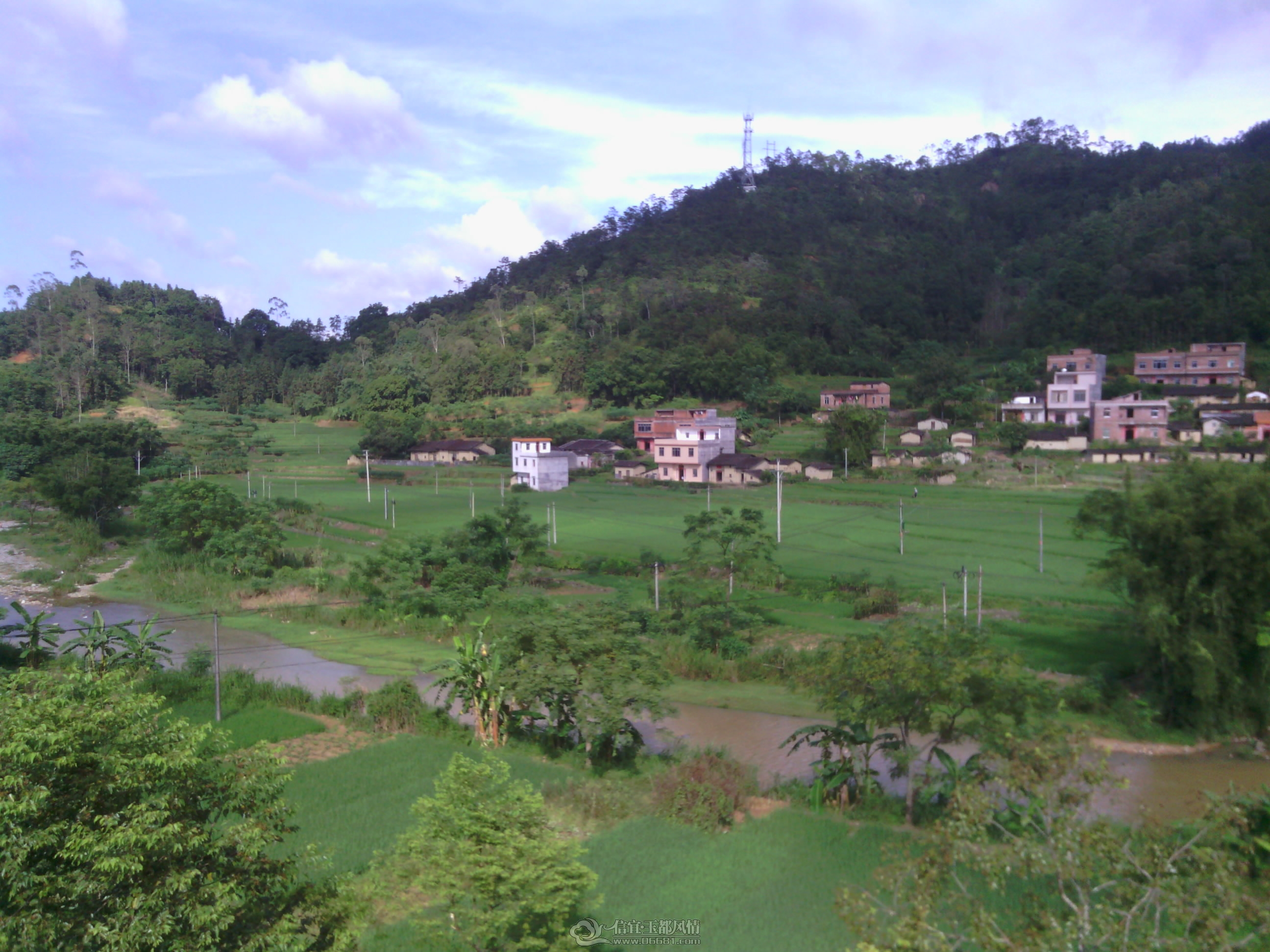 IMG_20120902_160855.jpg