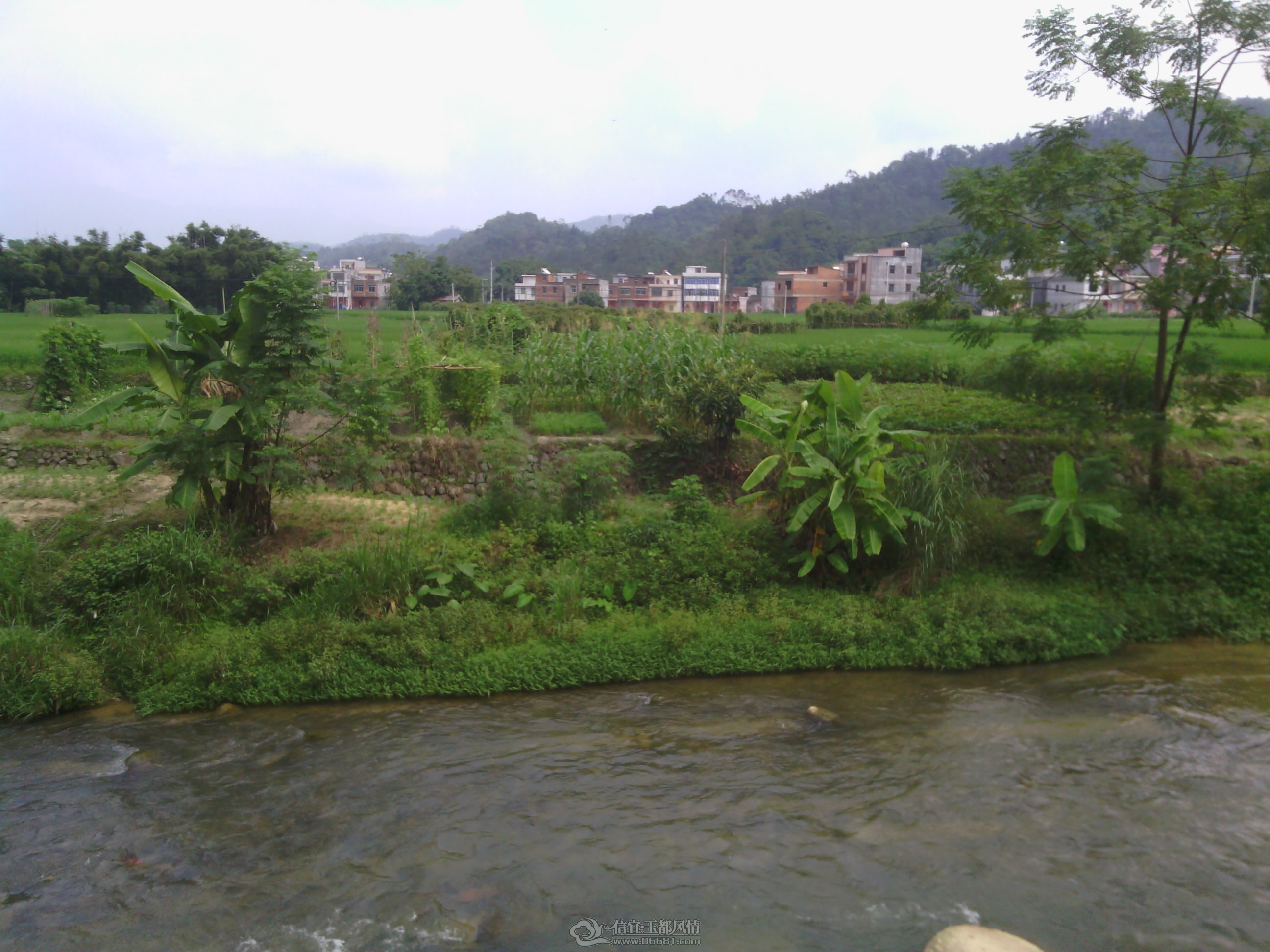 IMG_20120904_140824.jpg
