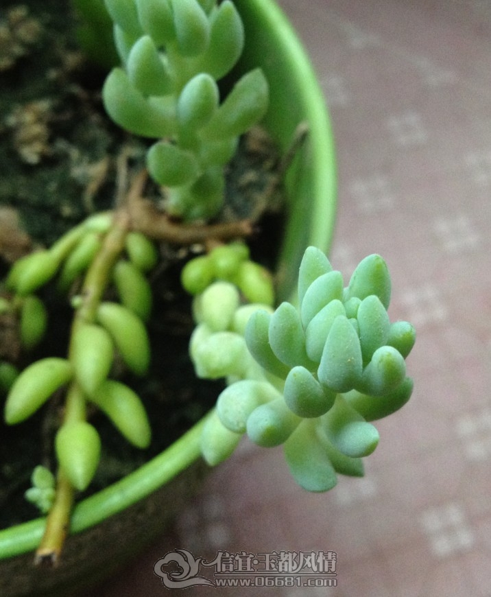 QQ��ͼ20120906174311.jpg