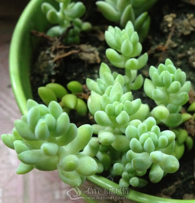 QQ��ͼ20120906174339.jpg
