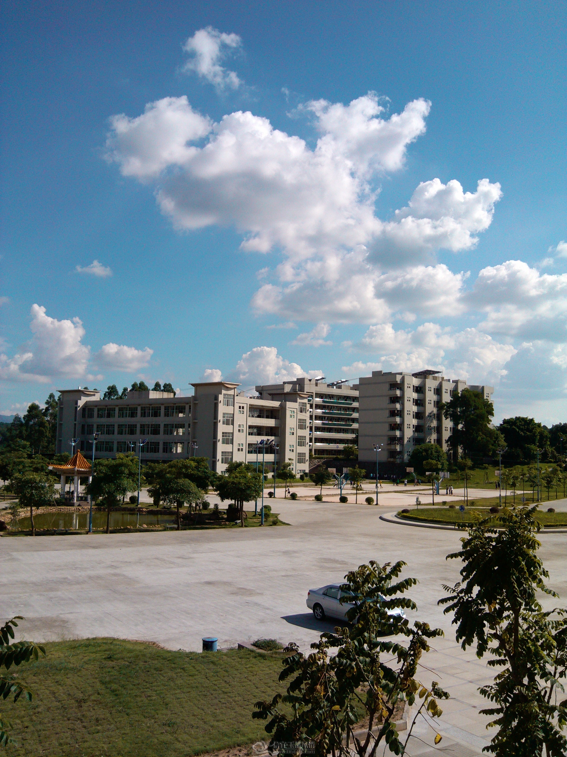 IMG_20120908_154739.jpg