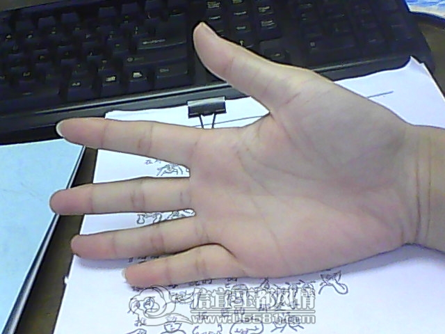 IMG0915141202.jpg