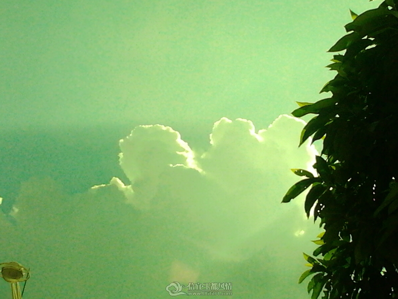 2012-08-15 16.04.52.jpg