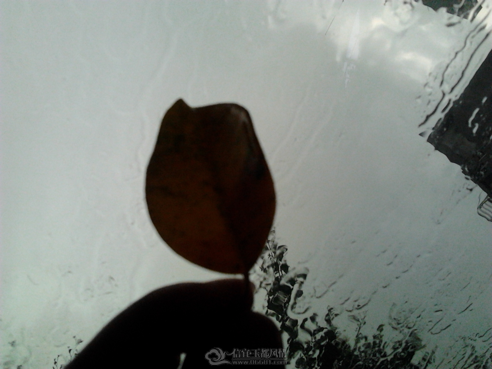 2012-09-13 15.44.42.jpg