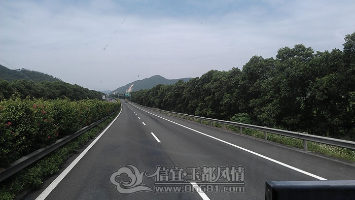 IMAG0535.jpg