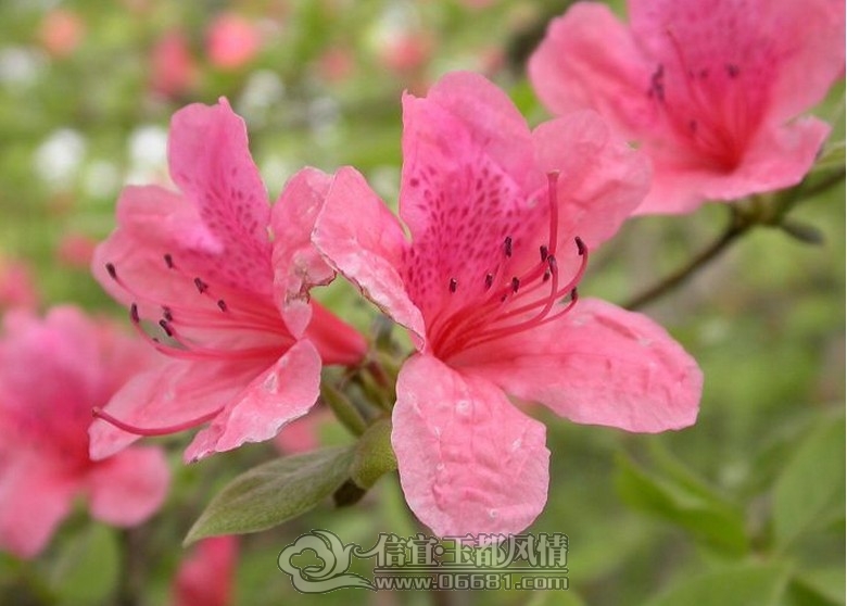 20120919141548.jpg