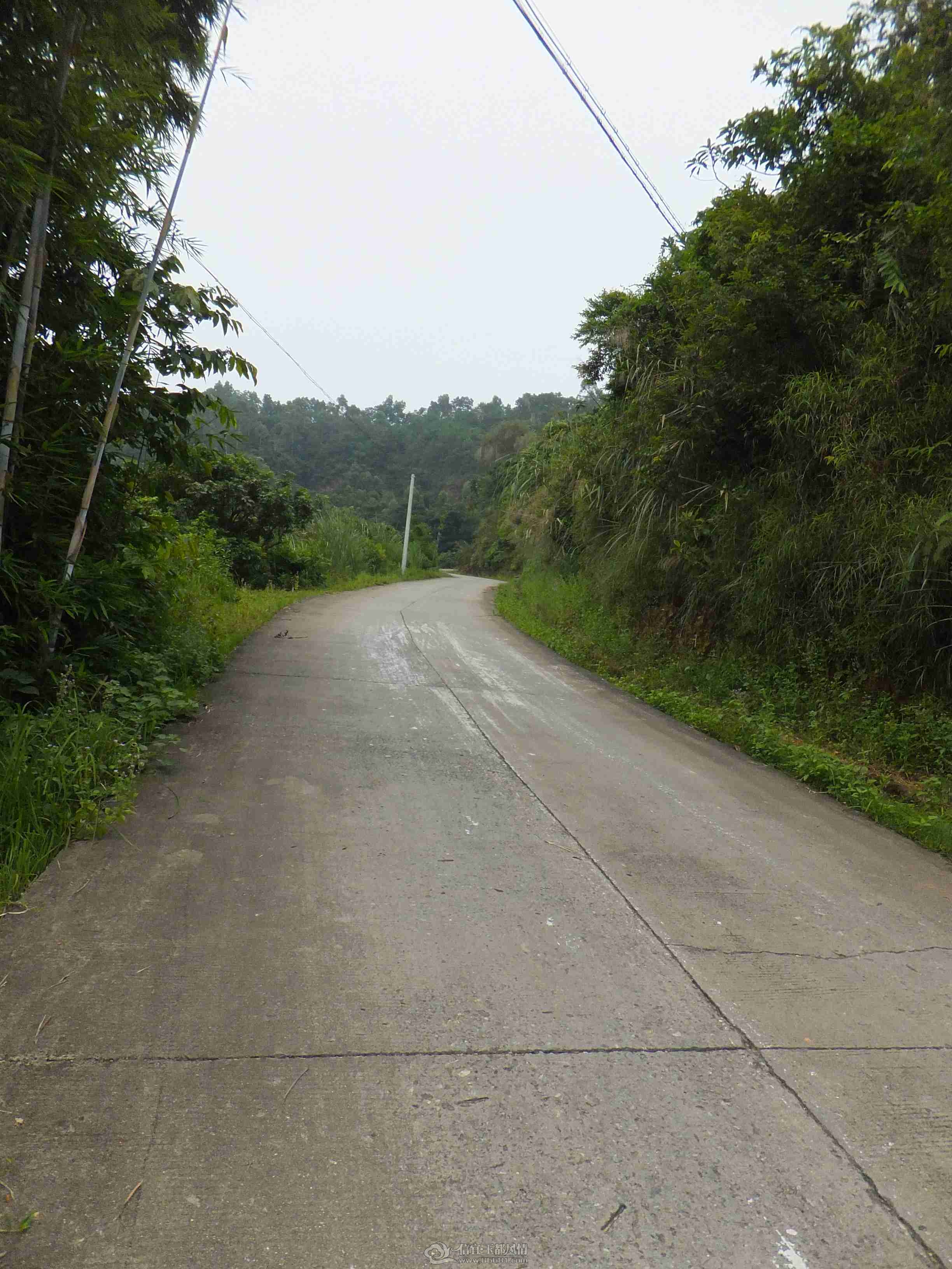 DSCF1469.jpg