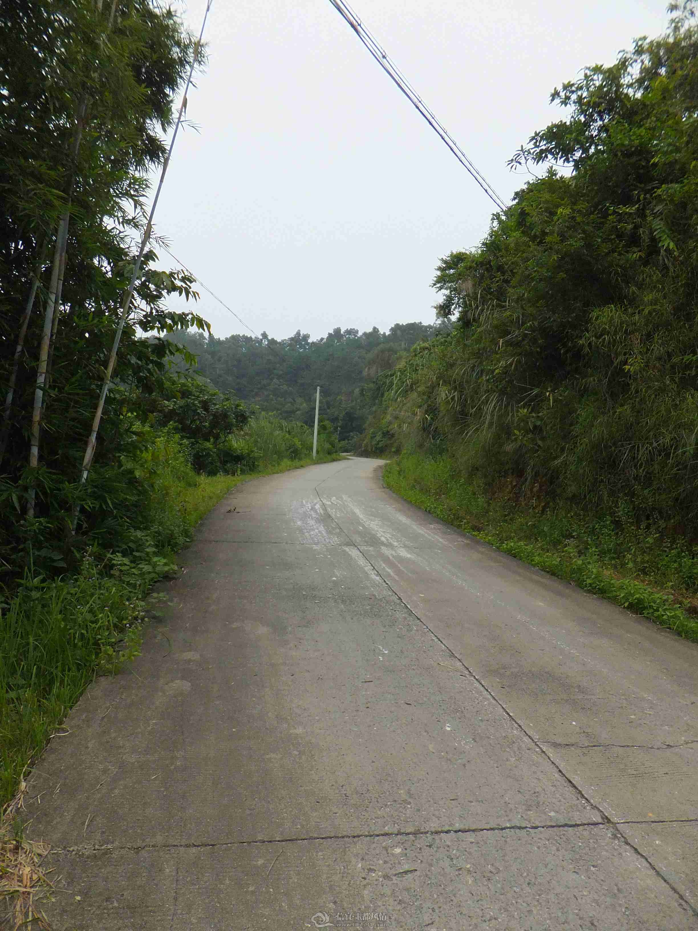 DSCF1468.jpg