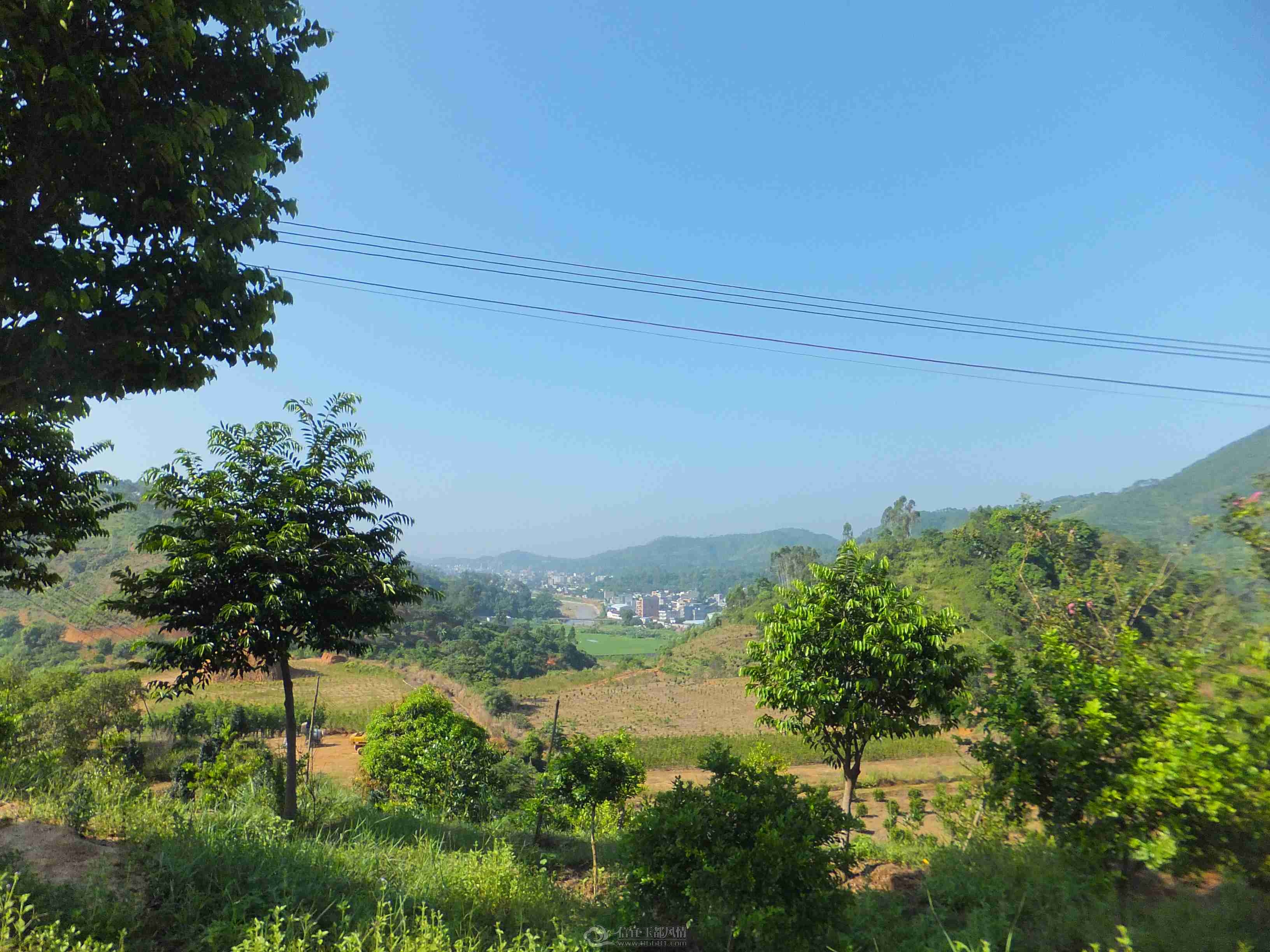 DSCF1347.jpg