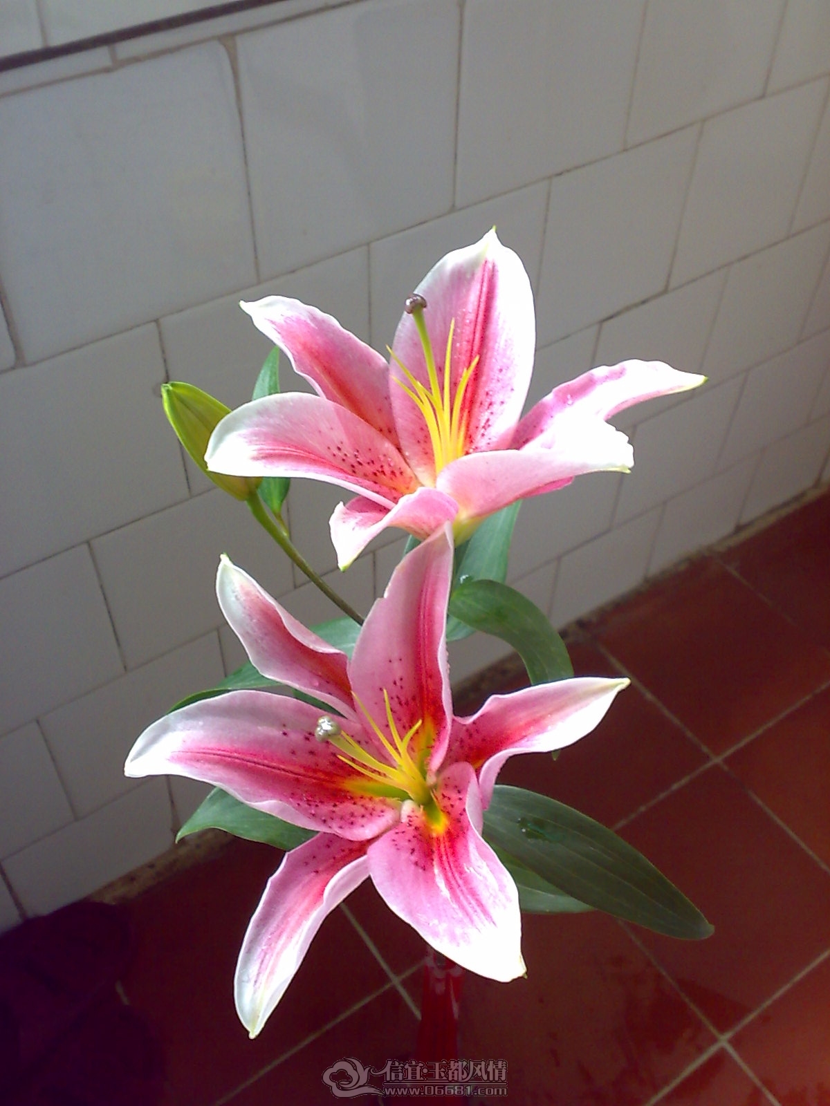 20120923878.jpg