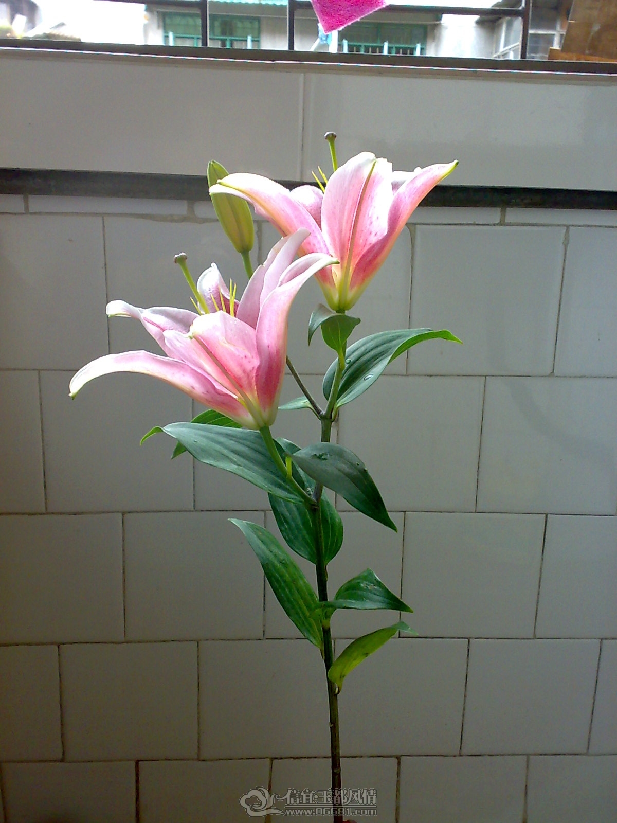 20120923879.jpg