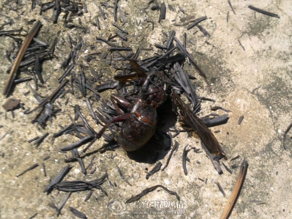 20120929457.jpg