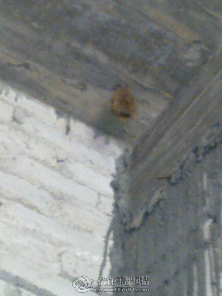 20120929460.jpg