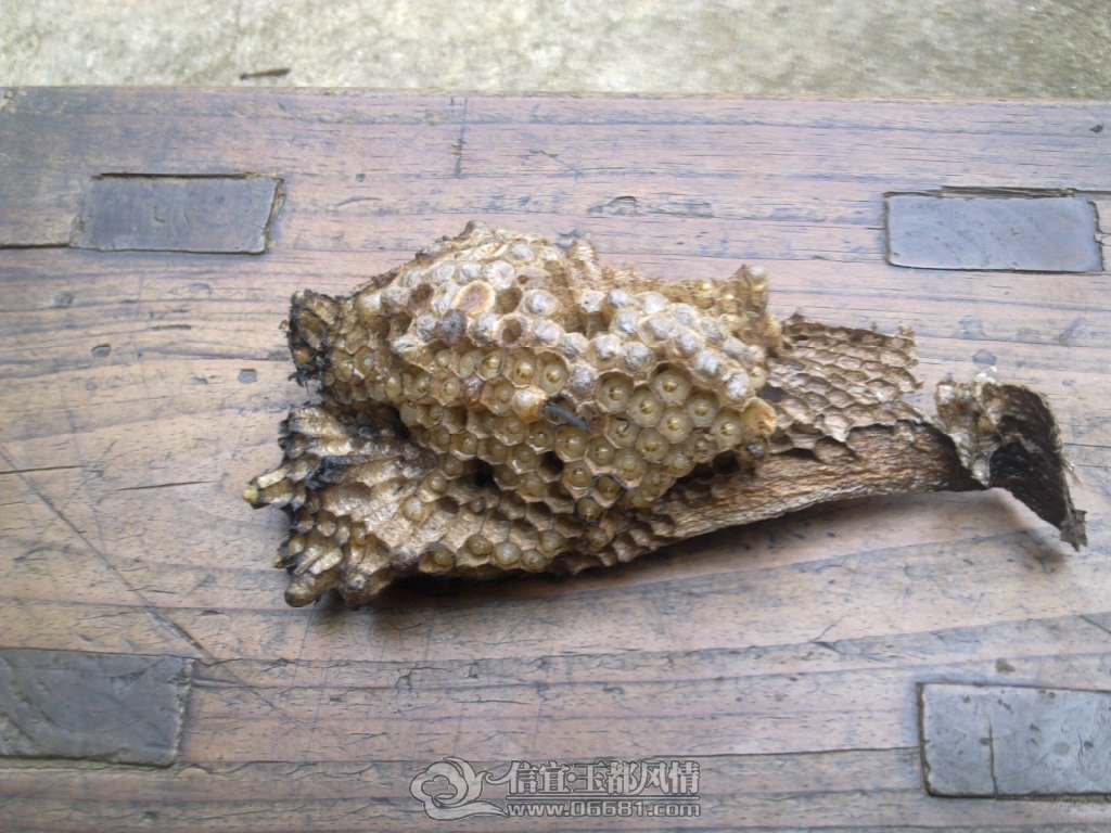 20120929463.jpg