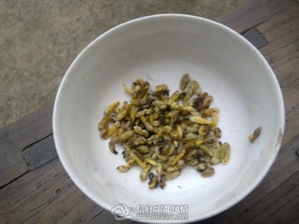 20120929467.jpg